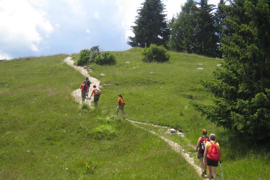 Walking itineraries - Fiemme Village